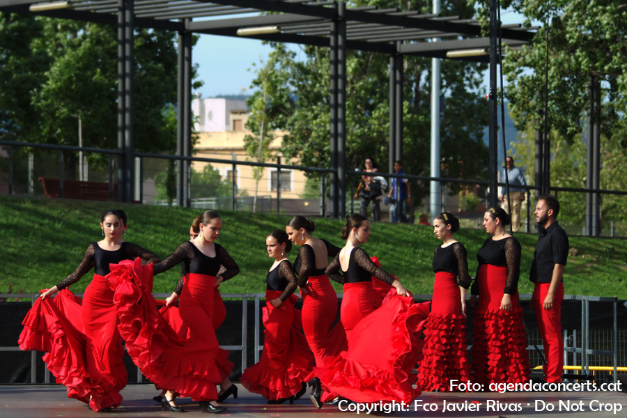 Les Cases Regionals de Sant Boi de Llobregat han organitzat una festa flamenca l’últim dia de la Festa Major 2017.