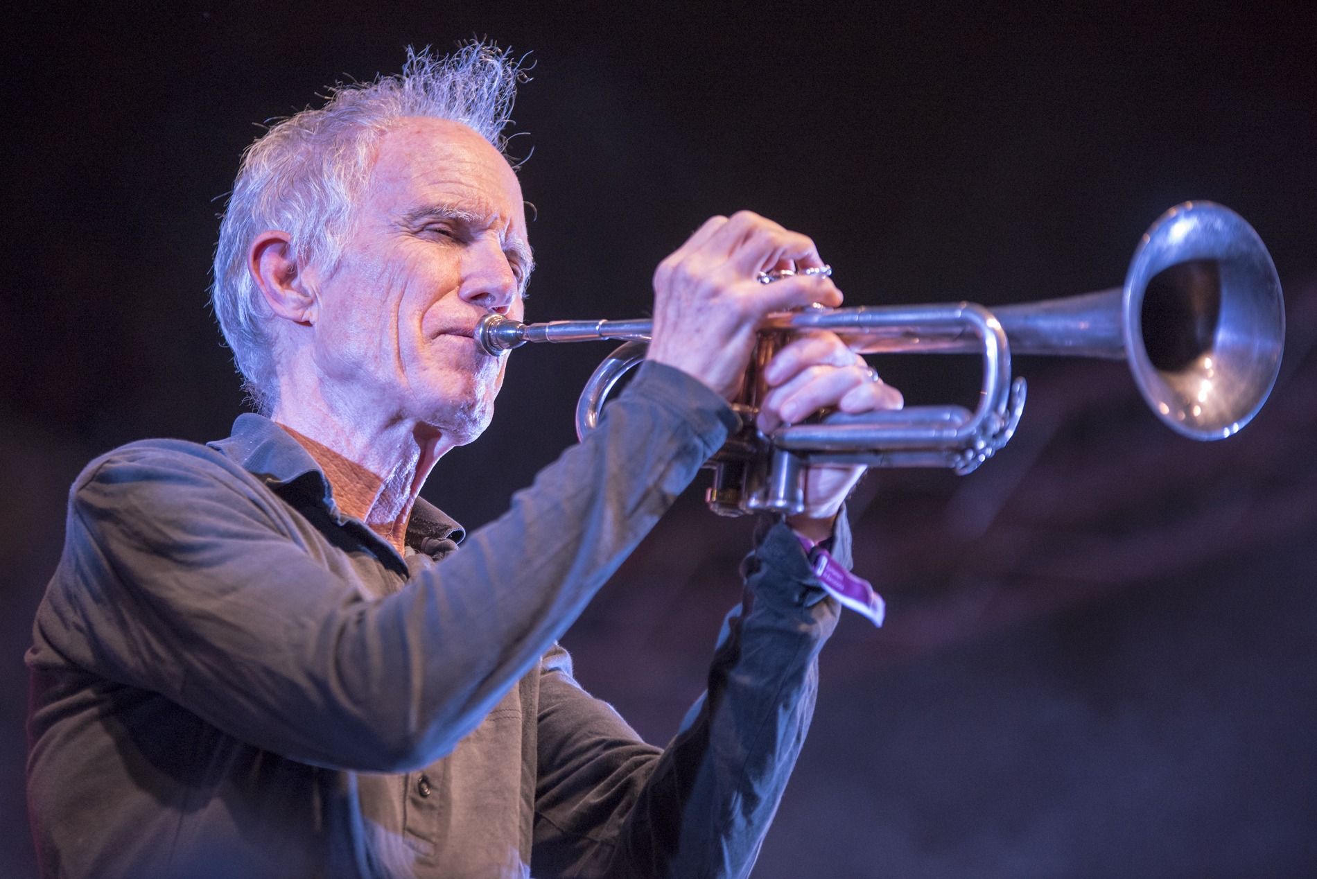 Blood Quartet and Gozupa Dongyang performing at BAM Festival 2024 in Barcelona