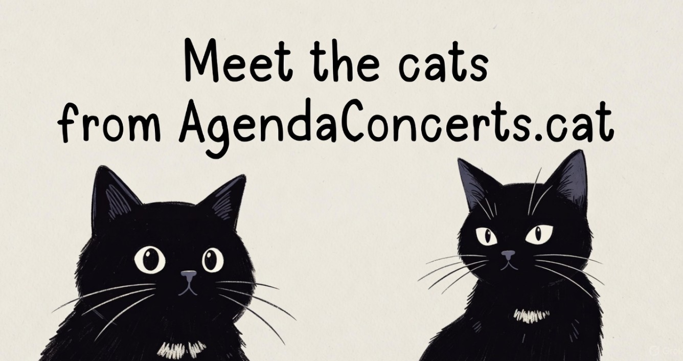 Meet the cats from AgendaConcerts.cat